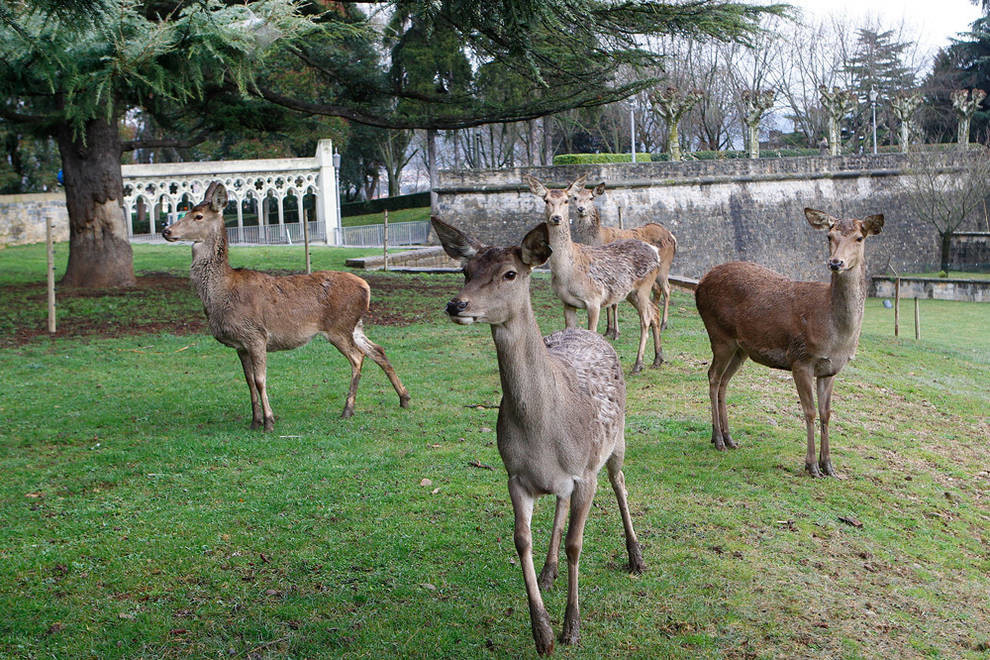 Top 5 for Kids & Families in Pamplona