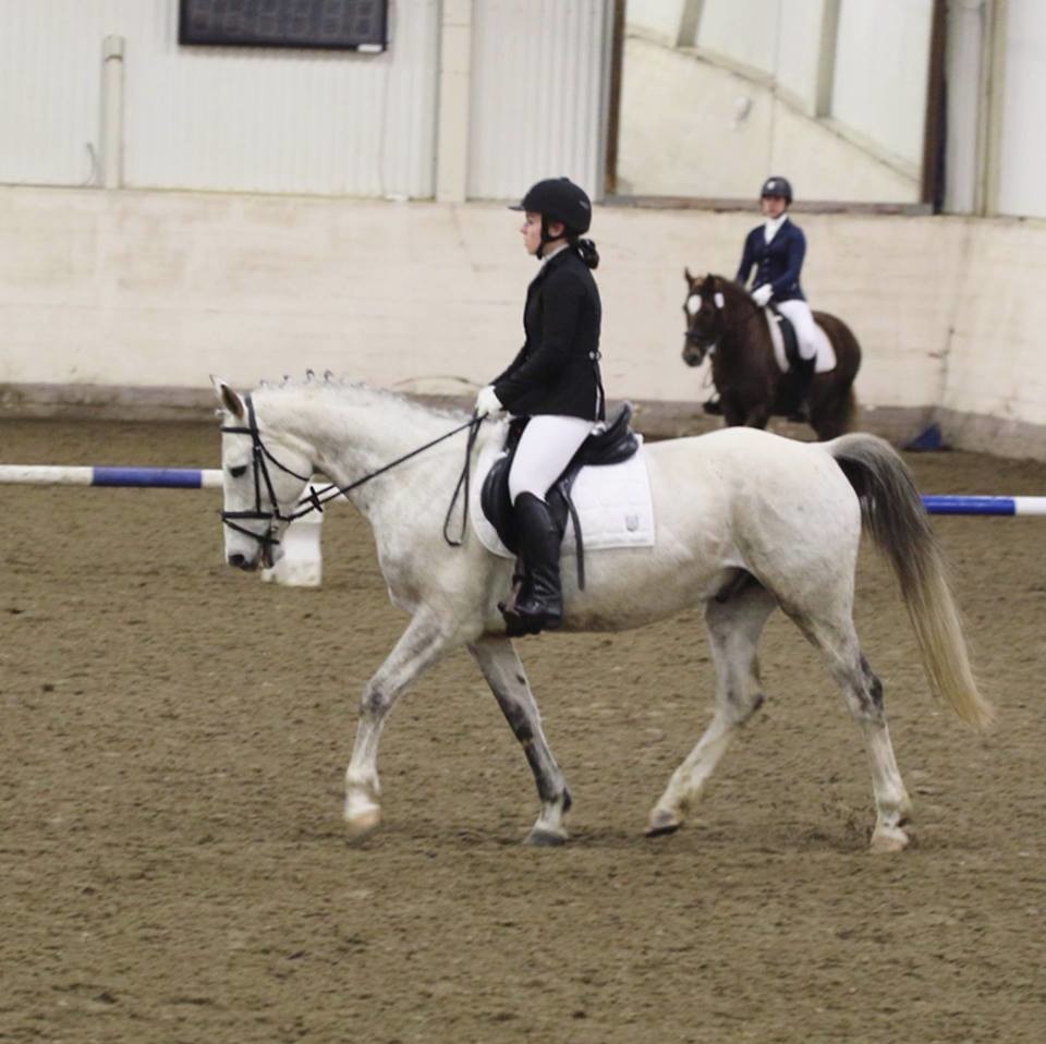 EKT Riding School and Petting Zoo