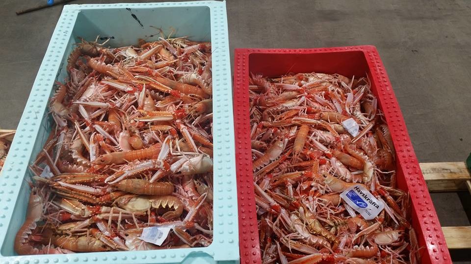 Göteborgs Fiskauktion