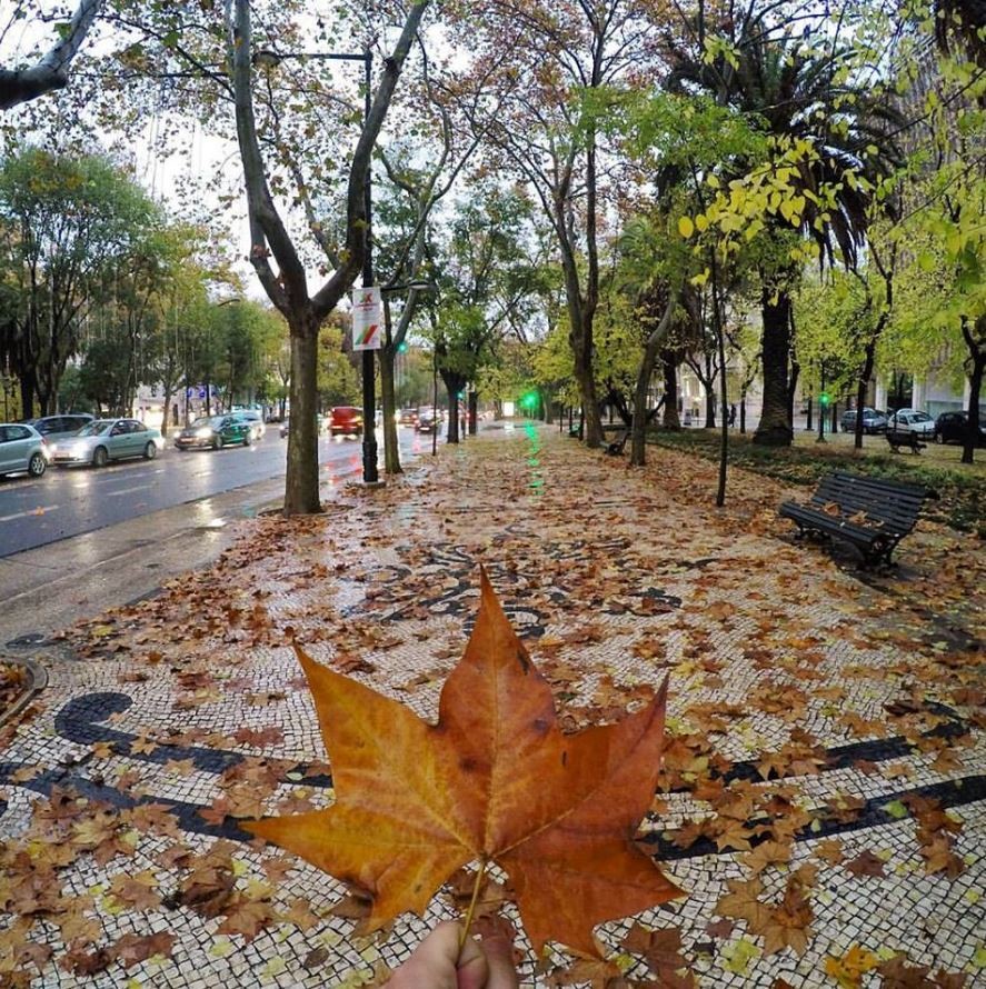 Avenida da Liberdade