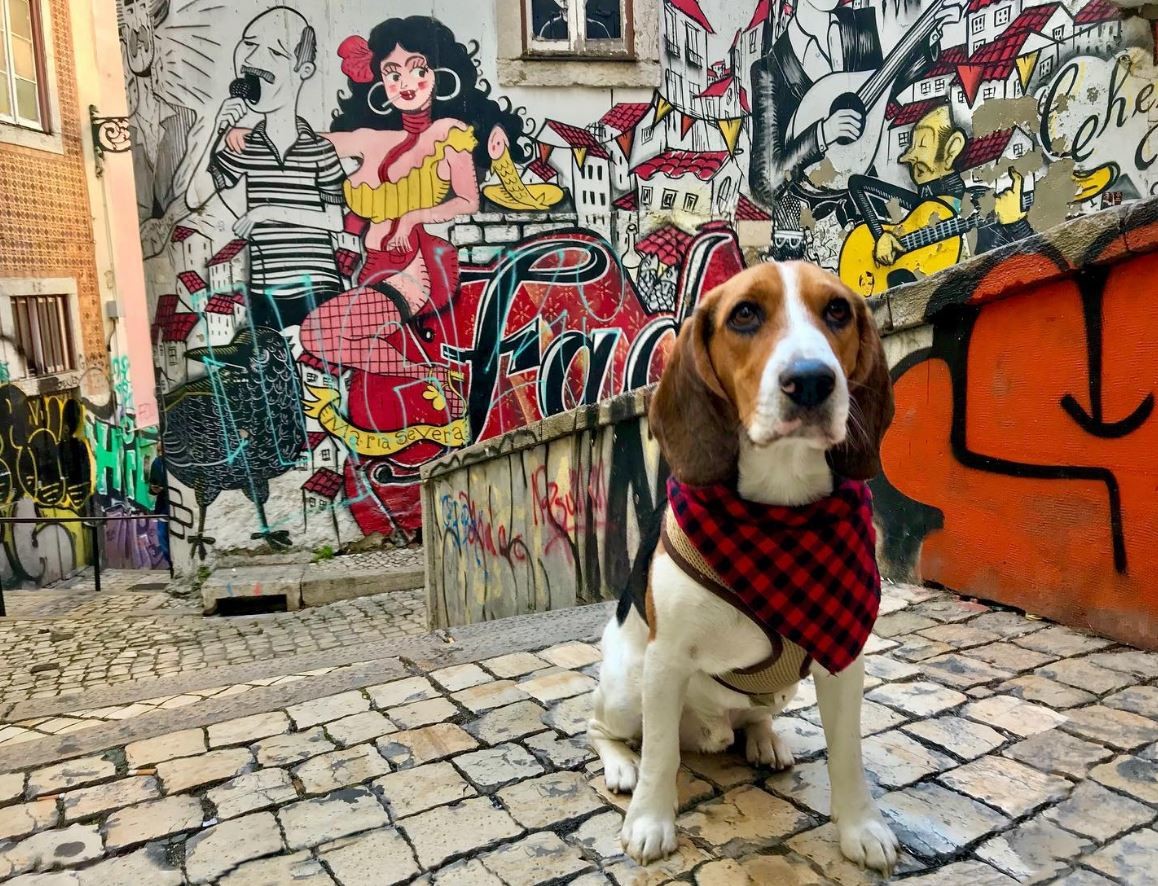 Fado Graffiti Wall – Escadinhas de São Cristóvão