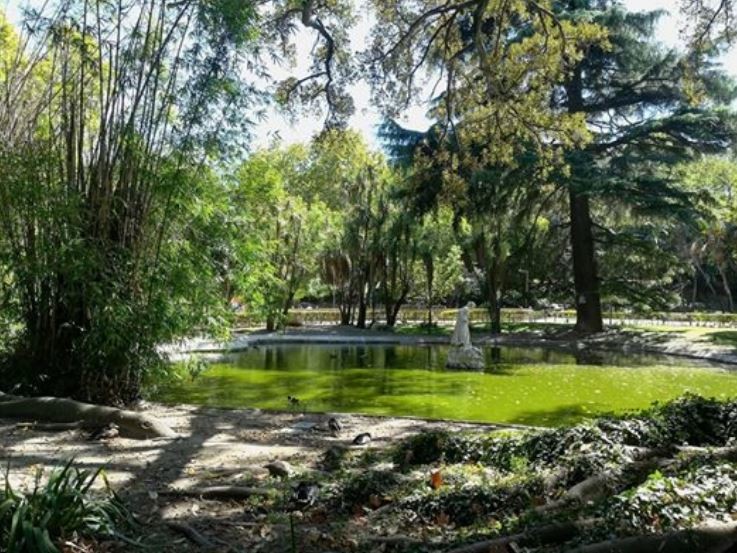 Jardim da Estrela