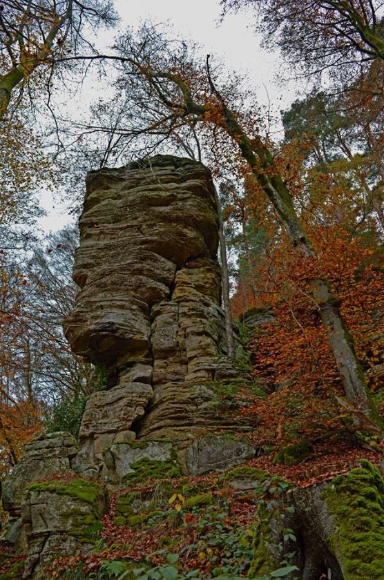 NaturWanderPark delux