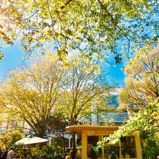 Pavilion Gardens