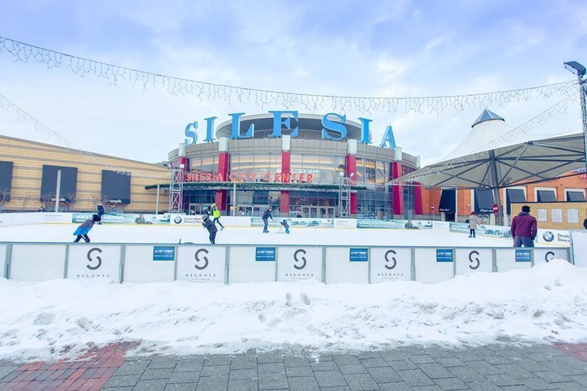 Public Ice Skating Rinks