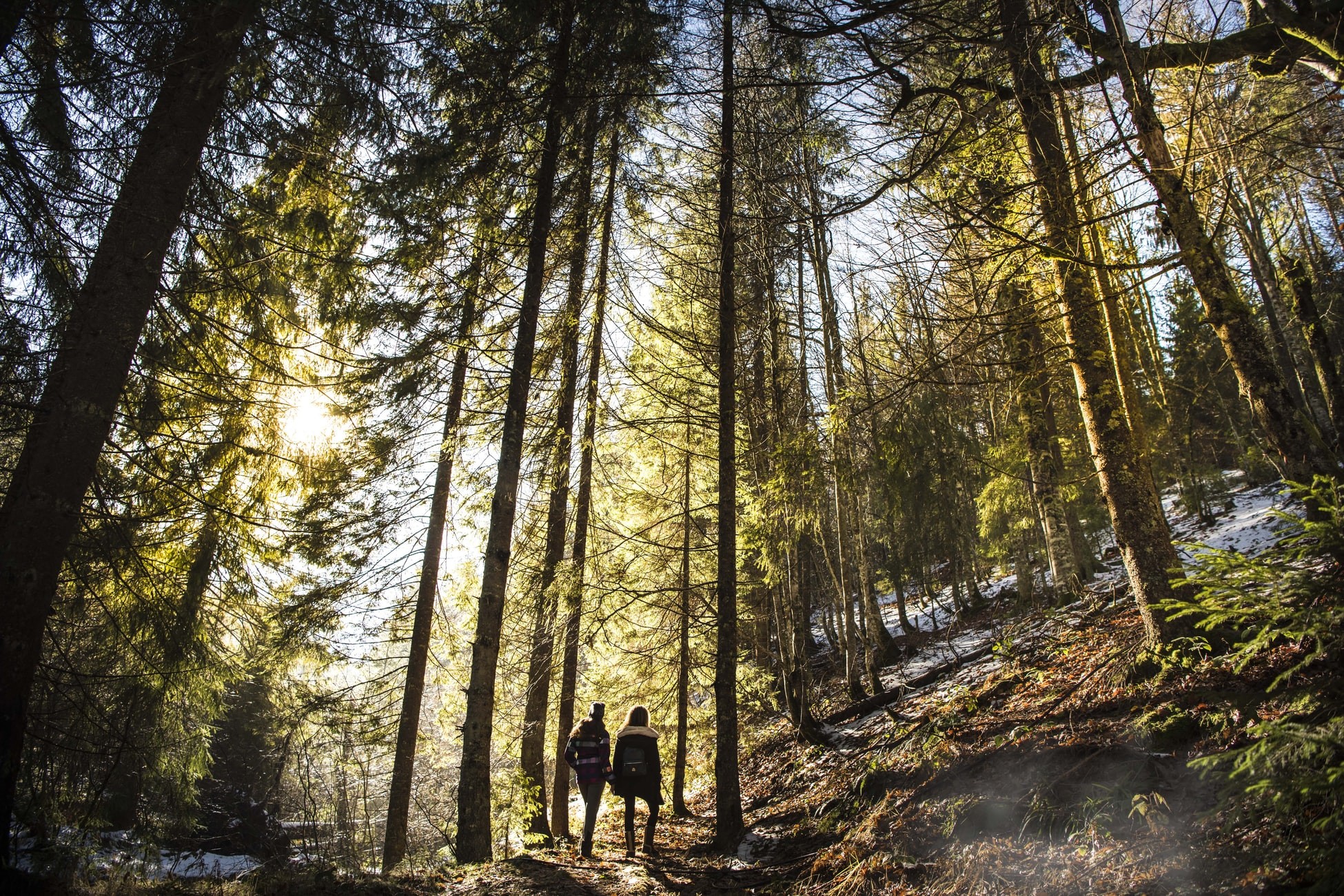 Day Hikes in Brasov