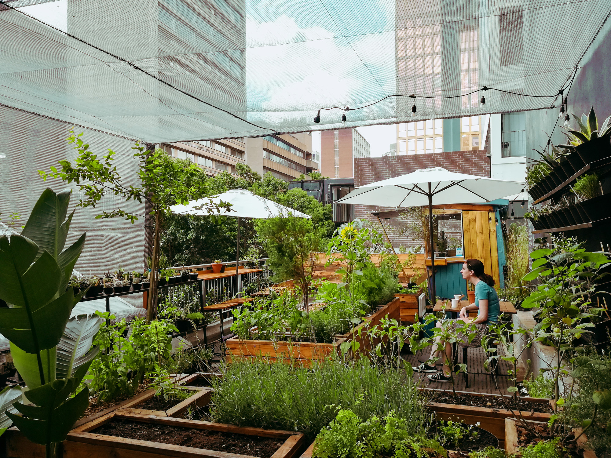 Jff Rooftop Farm Cafes Coffee Shops Delis Johannesburg