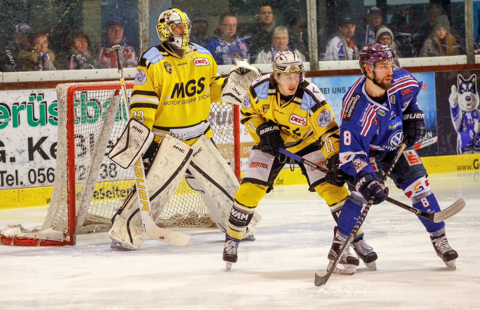 Kassel Huskies