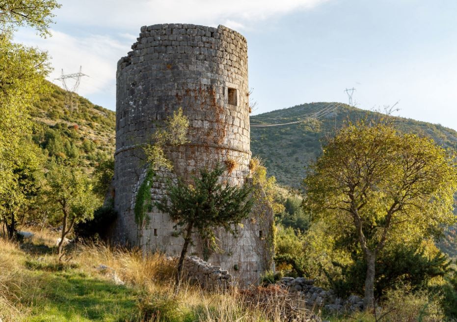 Branković Tower