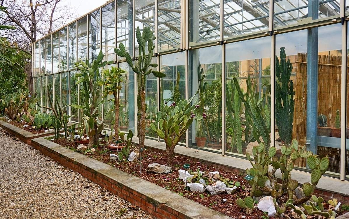 Orto Botanico di Pisa