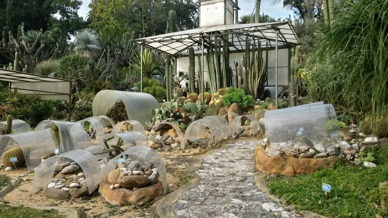 Orto Botanico