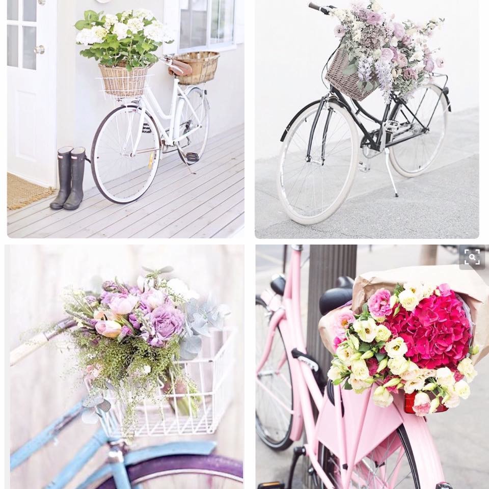 Rent a bike