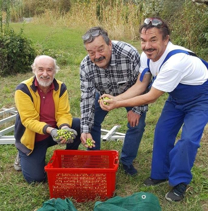 Coronavirus  Slovenia: Supporting local businesses