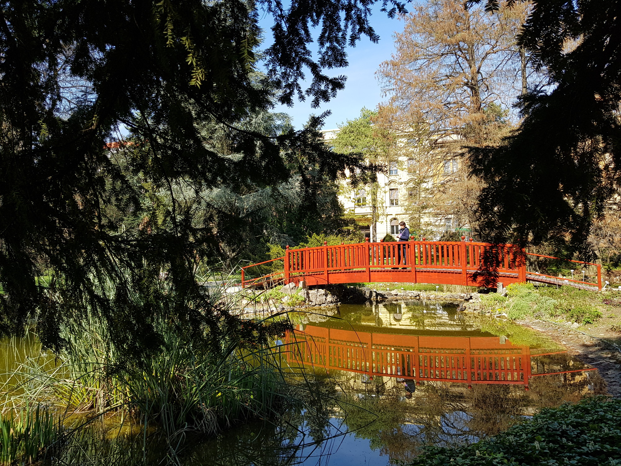 Botanical garden