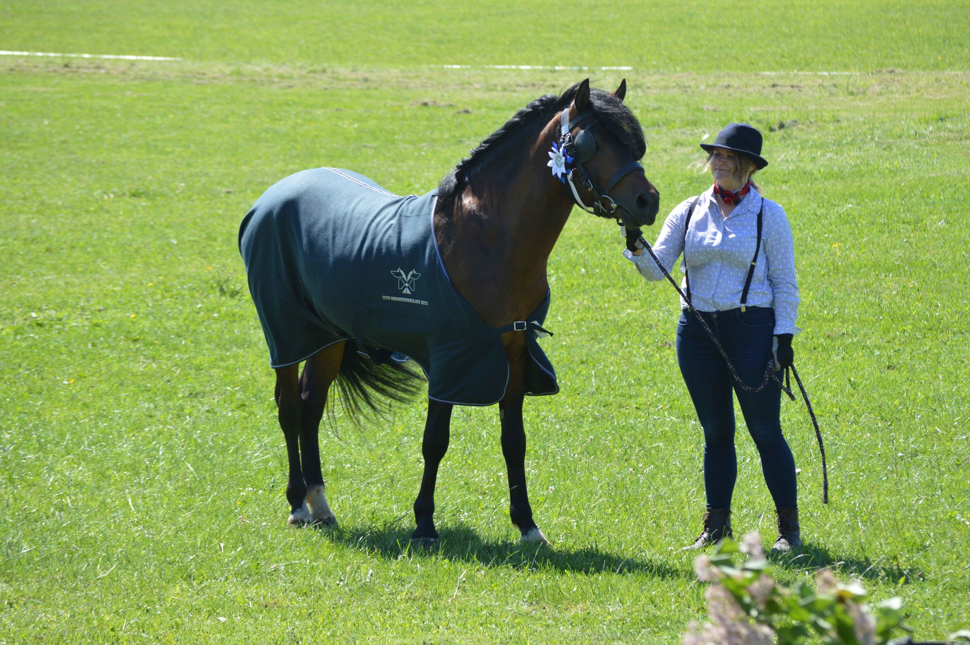 Tori Stud Farm