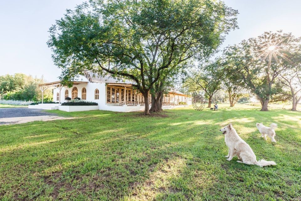 Beautiful spots for lunch and a hike in the Gauteng countryside