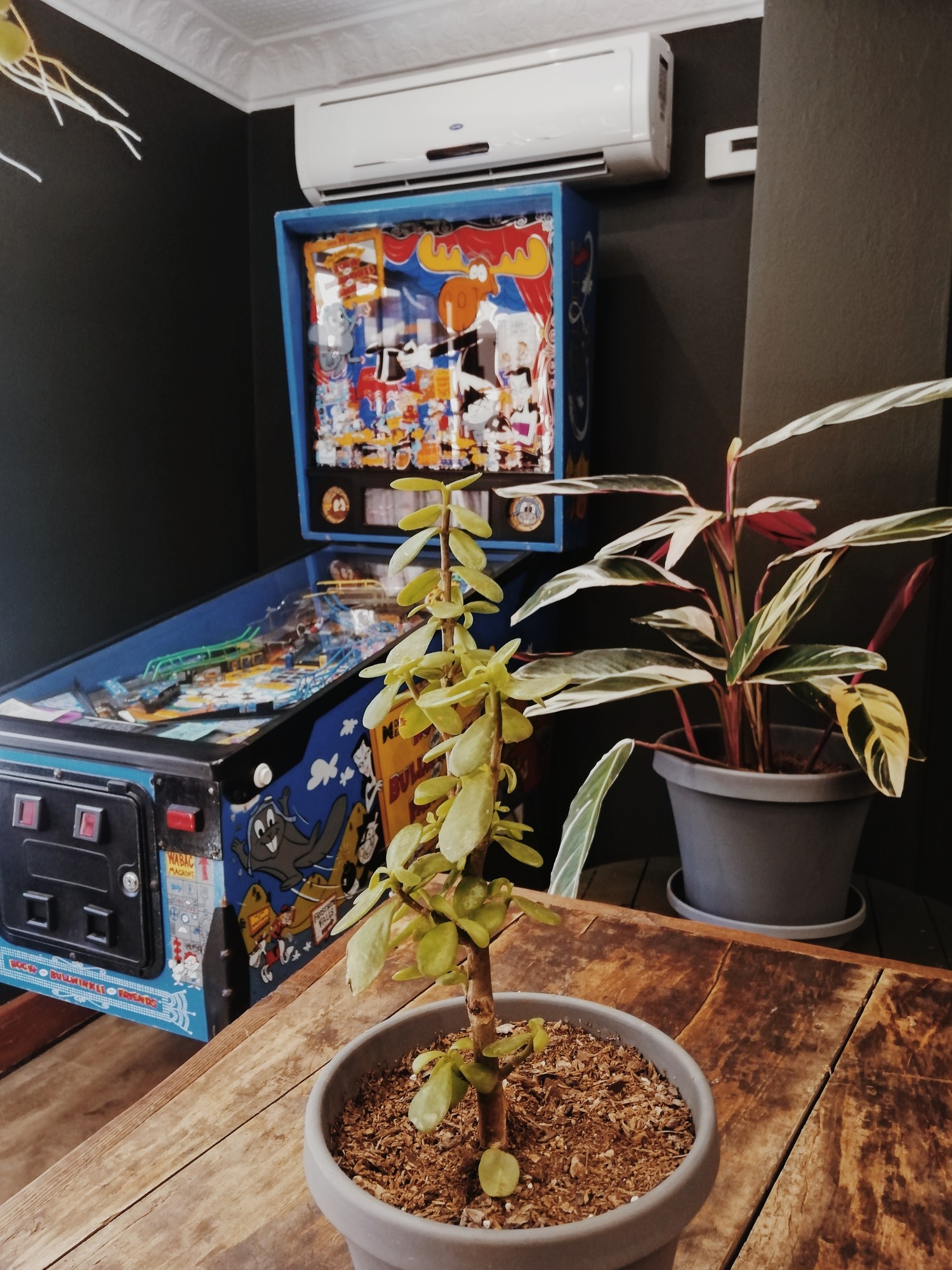 Jay's Java & Juice Cafes, coffee shops & delis Johannesburg