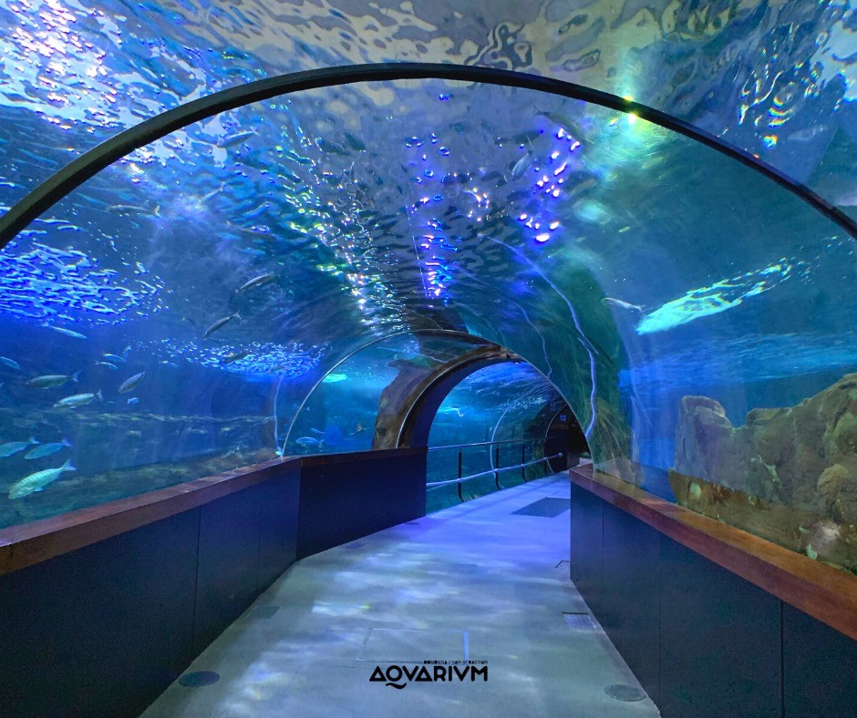 Puerto & Aquarium