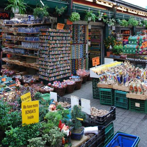 Flower Market | Sightseeing | Amsterdam