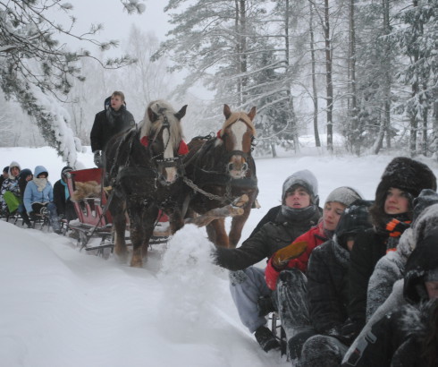 Sleigh Rides Kolano Stables