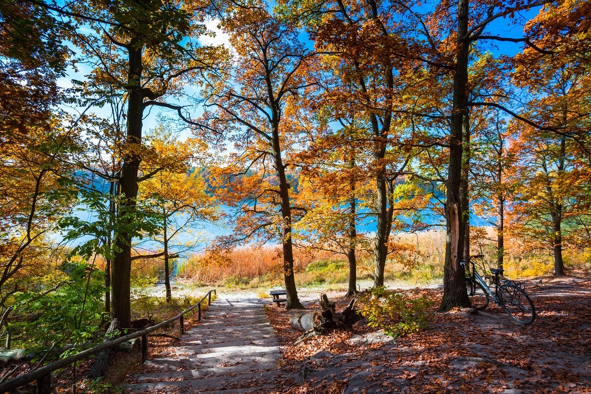 Greater Poland National Park