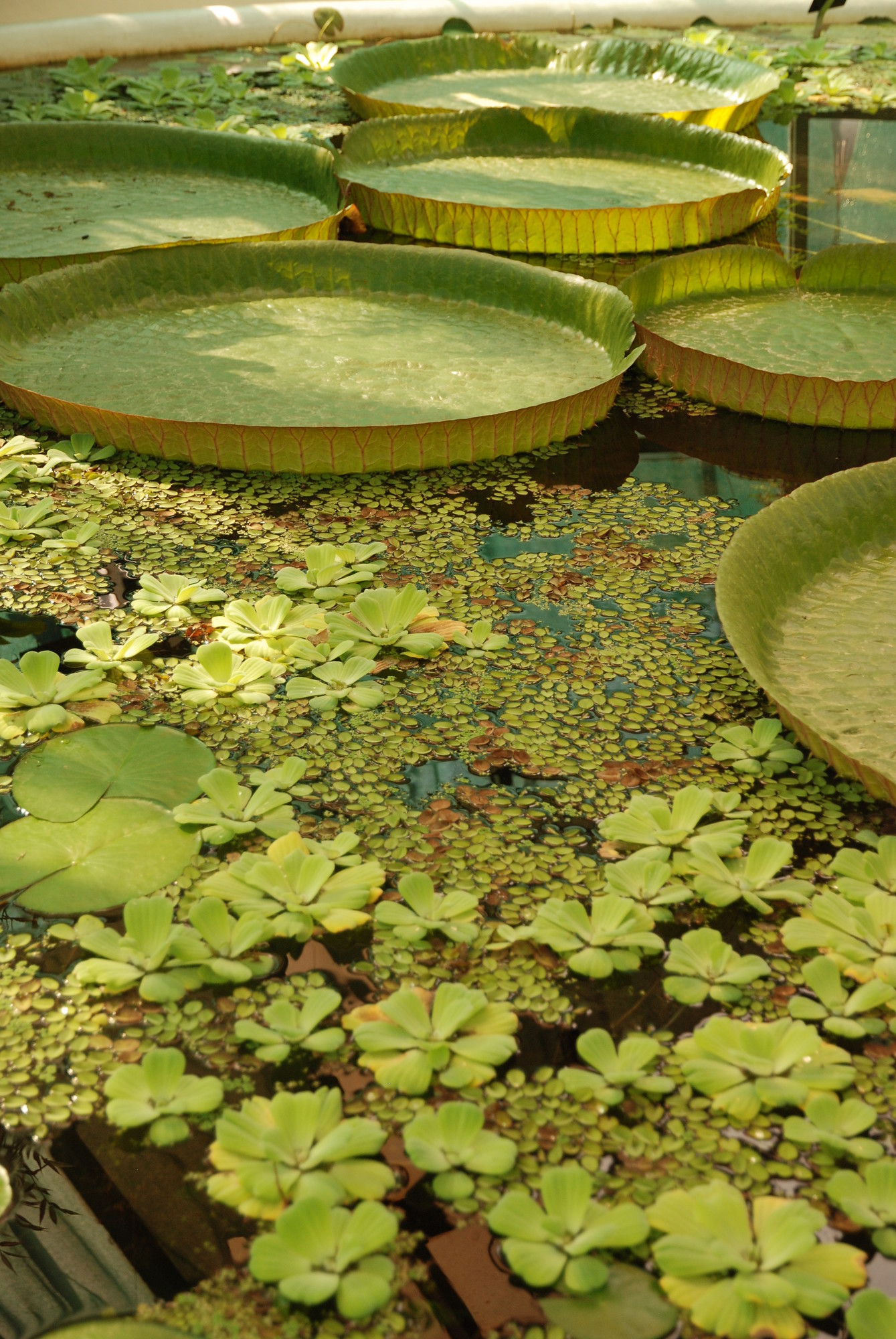 Escape To These 12 Green Oases In Zagreb