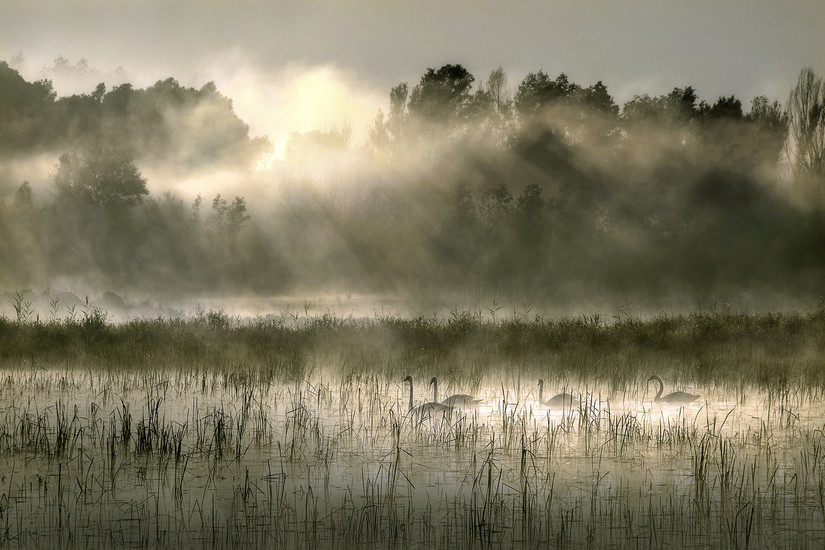 5 Nature Parks in Croatia You Can't Miss Out