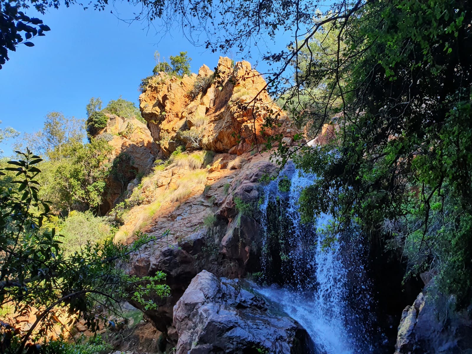 Kings Kloof Trails