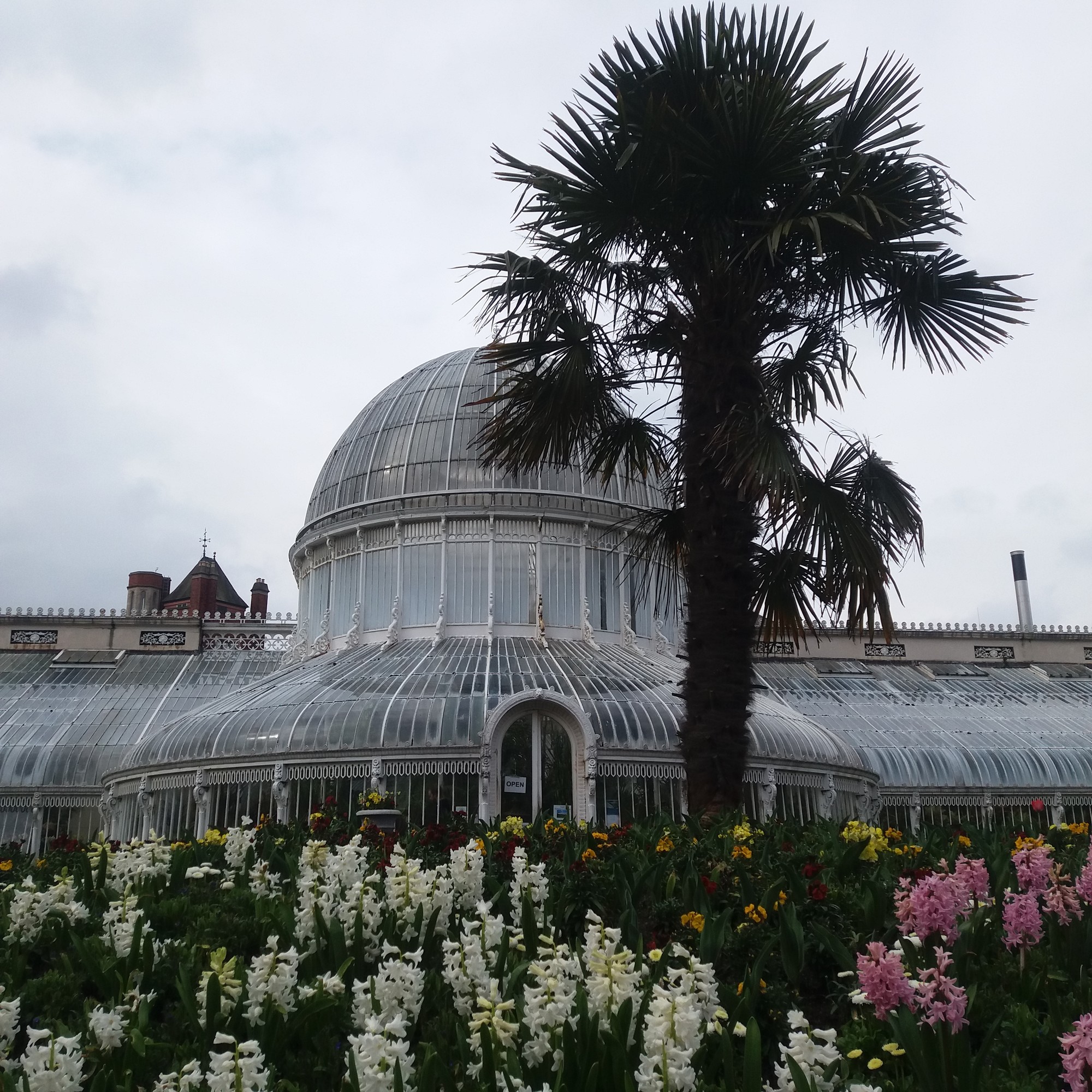 The Man Who Built Belfast