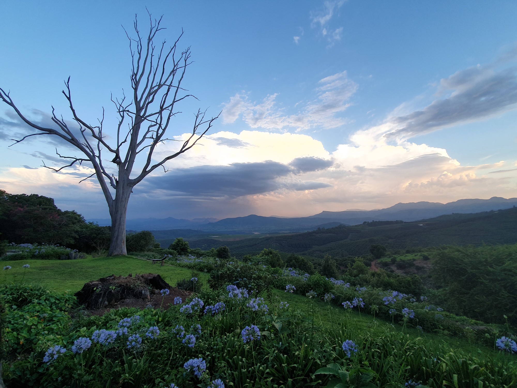 Road to Kruger – Tzaneen, Magoebaskloof and Haenertsburg