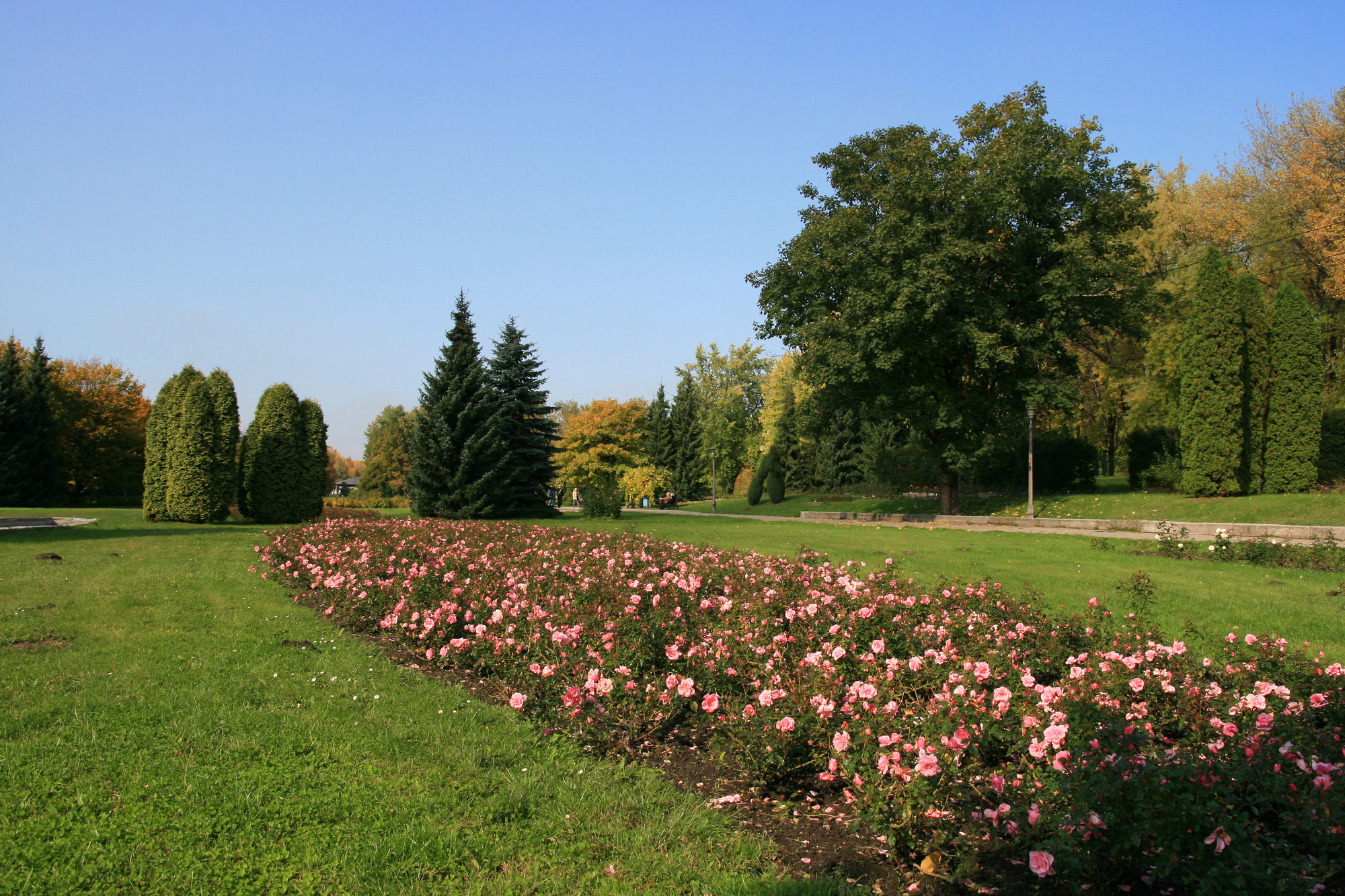 Park Śląski
