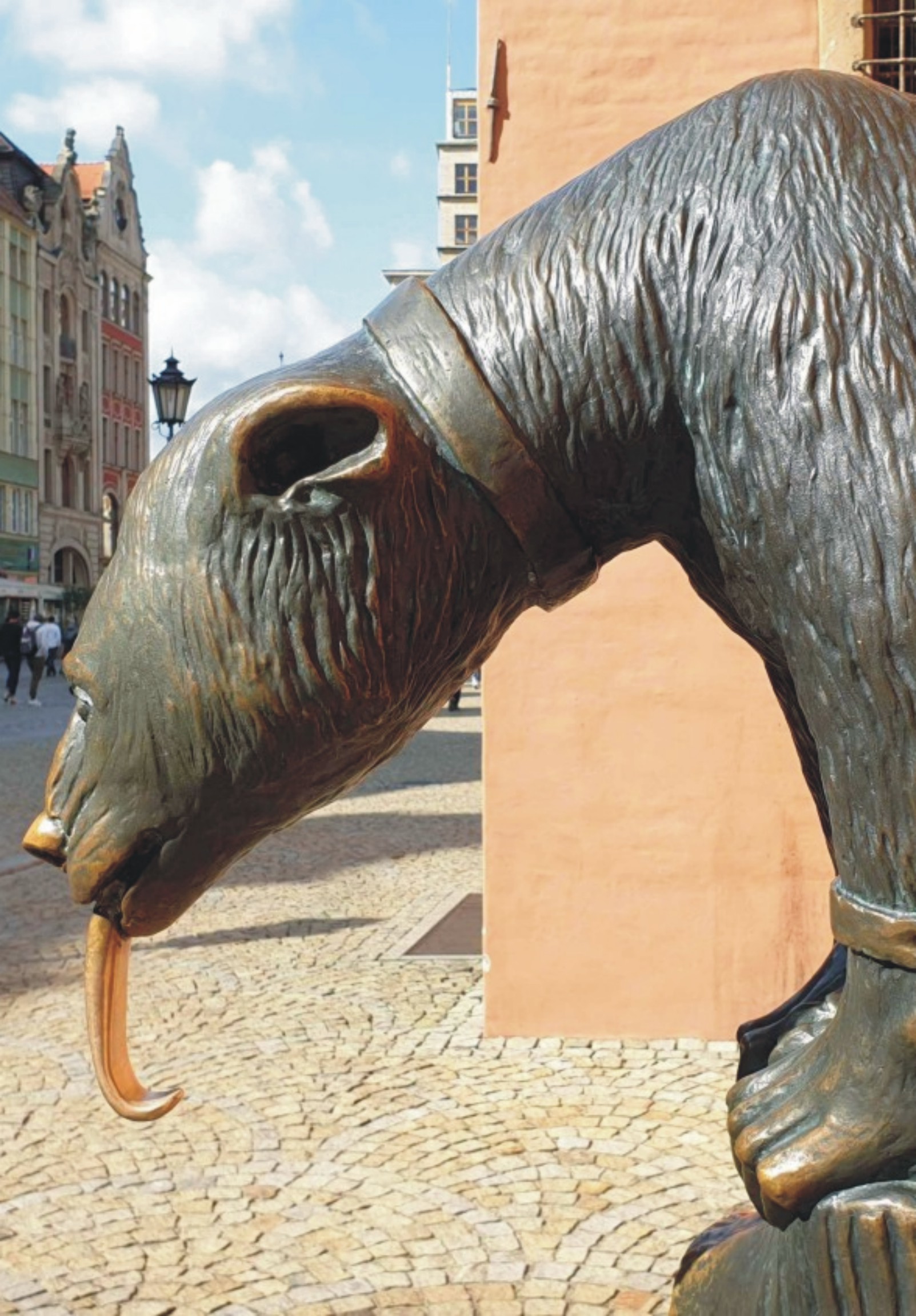 Wrocław City Tours