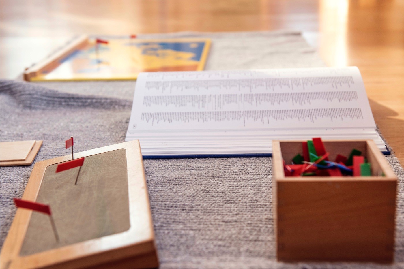 Montessori School Otkrivatel