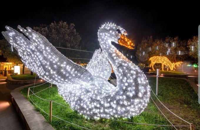 Joburg Zoo Festival of Lights 2022 | Johannesburg