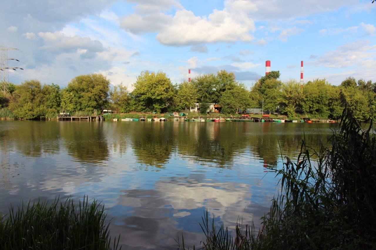 Wilanów Lake & Island