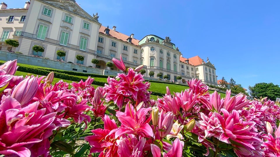 Café Zamek