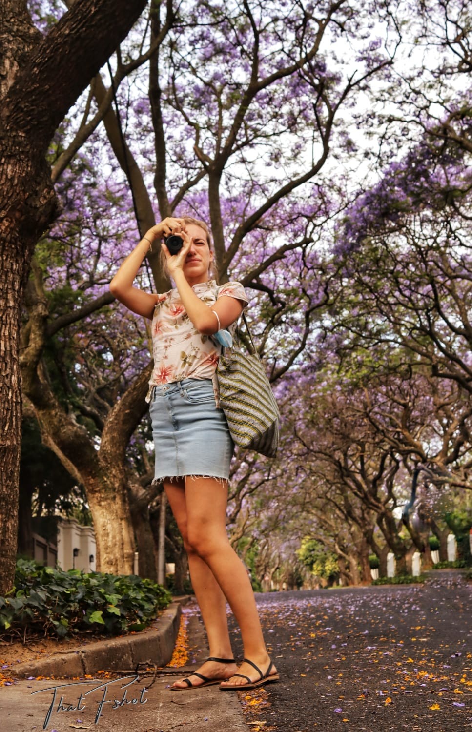 Jacarandainyourpocket2022 introduces two photo competition categories