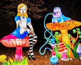 Alice in Wonderland: Gdynia Garden of Lights