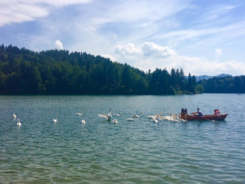 Lake Zbilje