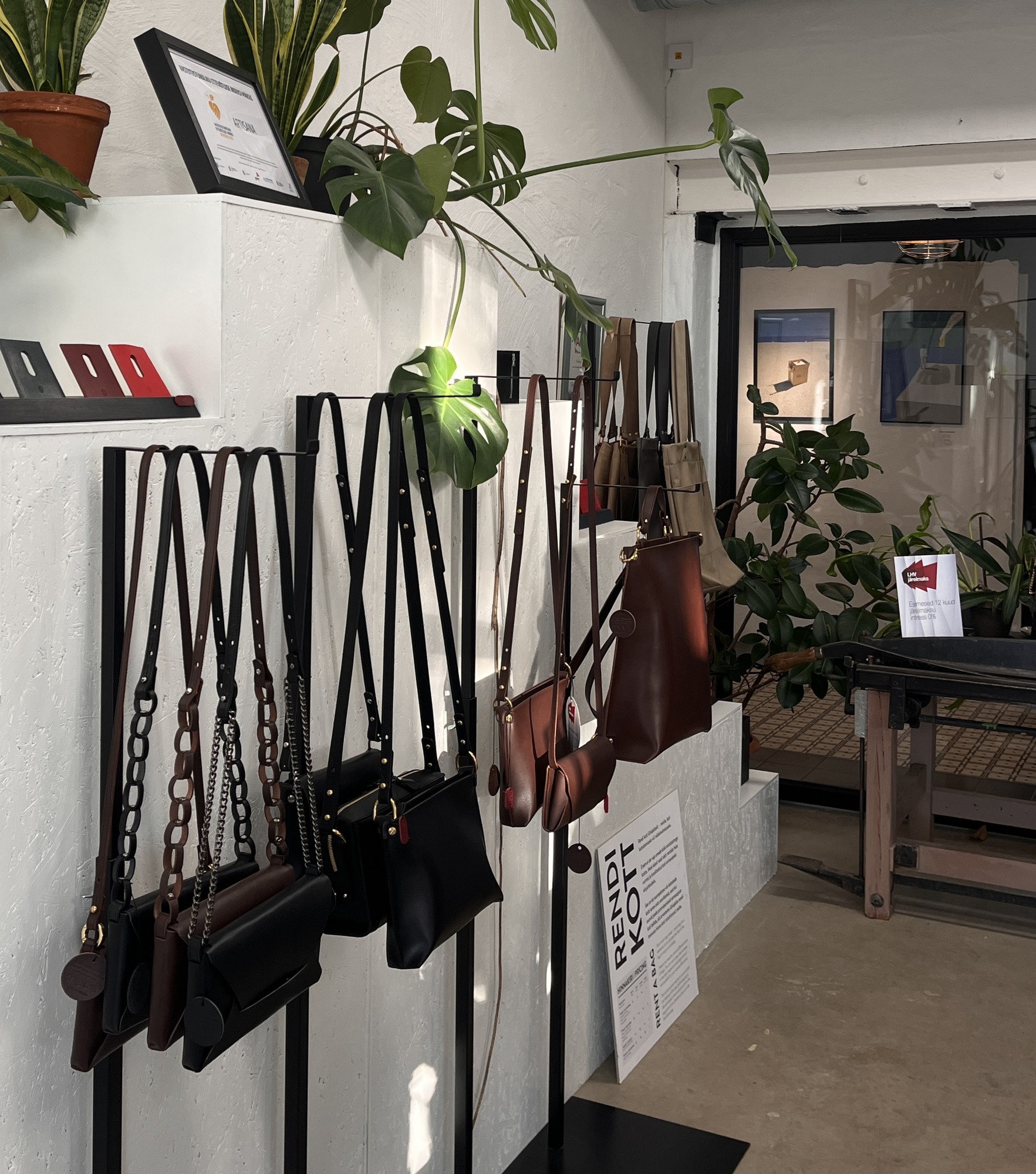 Stella Soomlais studio