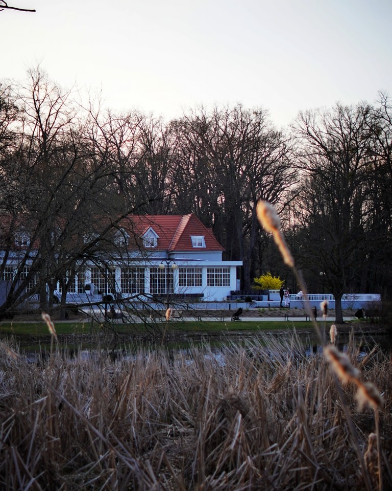 Port Sołacz