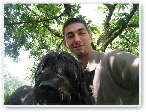 Dogwalks Deluxe