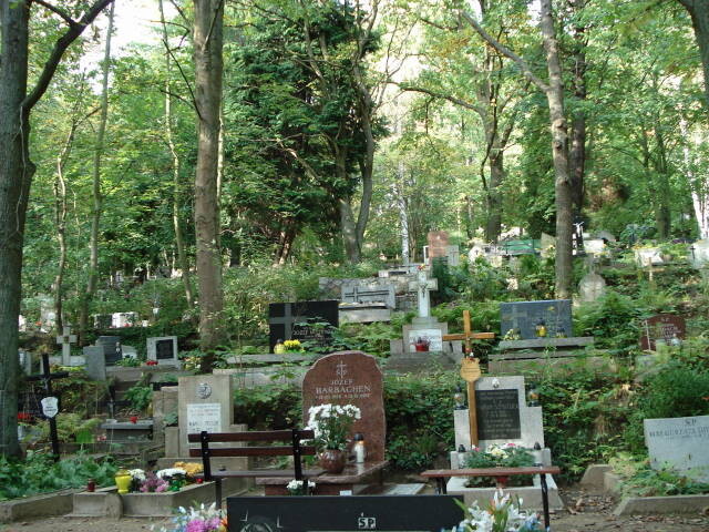 Witomino Cemetery