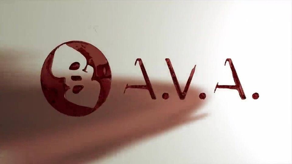 AVA - Academy of Visual Arts
