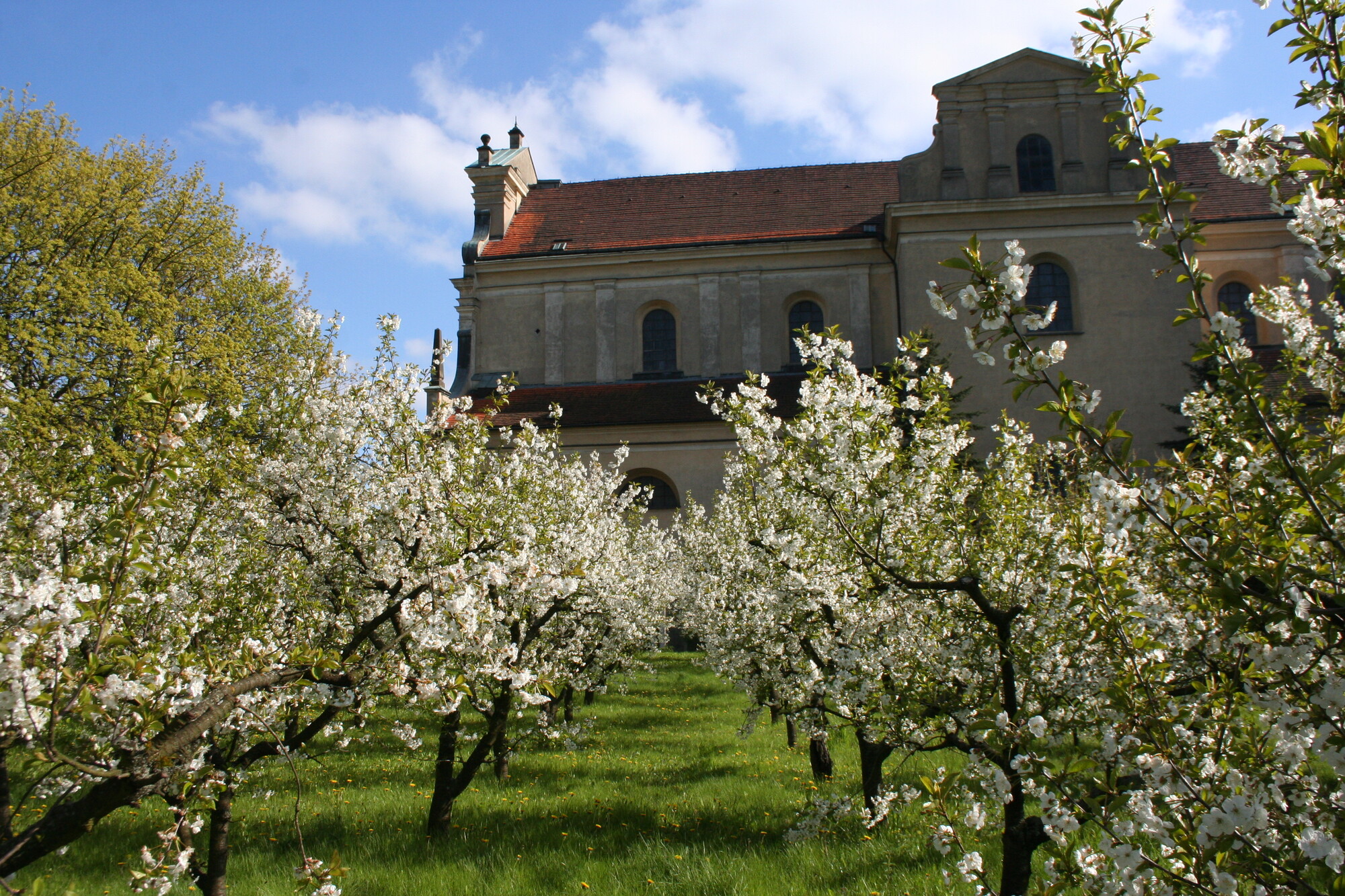 St. Joseph's Sanctuary