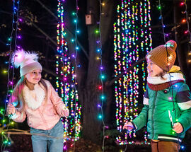 Kraków Garden of Lights 2025-26 | Pinocchio