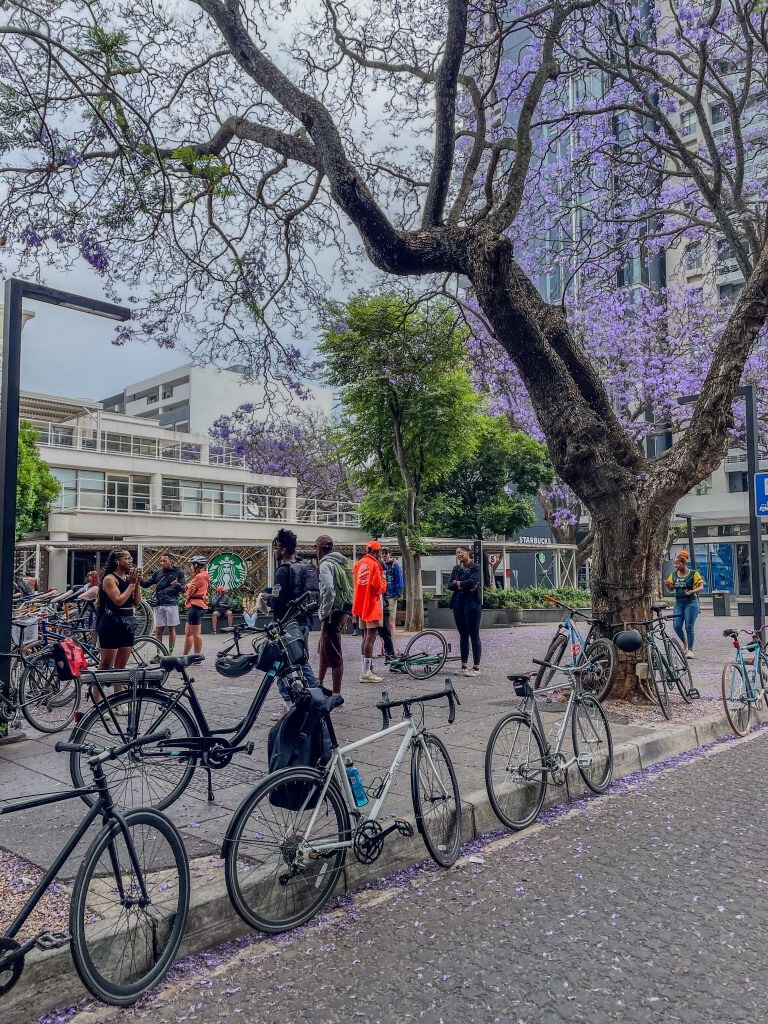 #JacarandaInYourPocket 2023 Wrap-up: Andticks, Banditz Bicycle Club social ride and Villa Arcadia photowalk