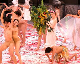 Ars Cameralis Festival