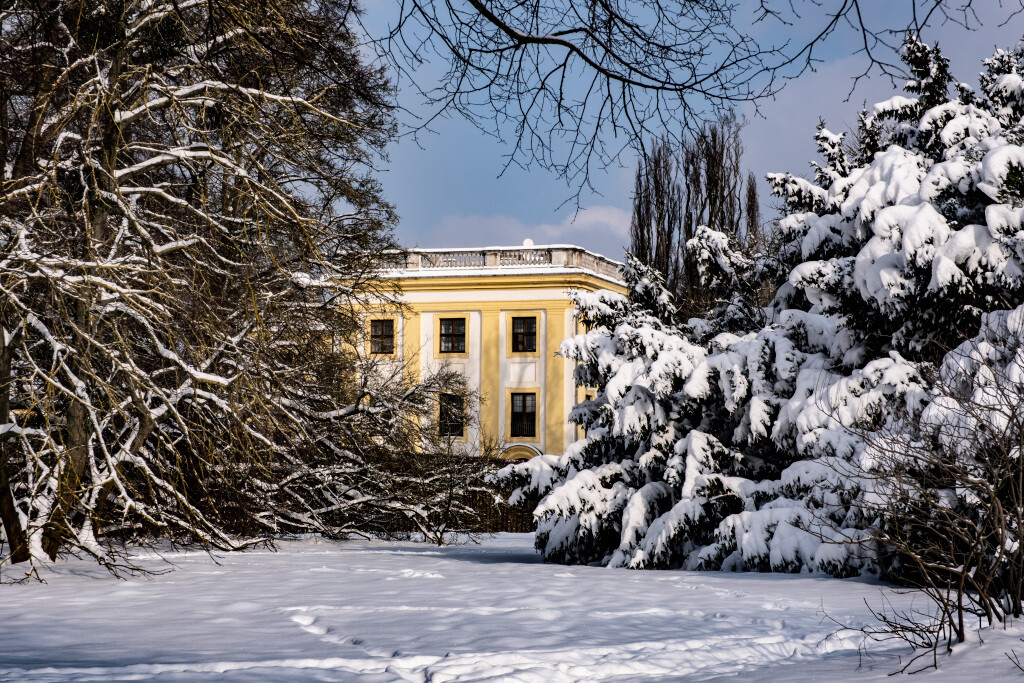 What to do in Kassel during the winter