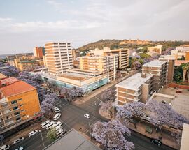 Day trip with the Gautrain – Hatfield